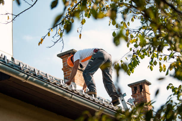 Best Metal Roofing Contractor  in Evans, CO