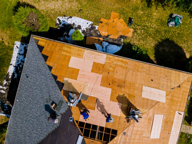 Quick and Trustworthy Emergency Roof Repair Services in Evans, CO
