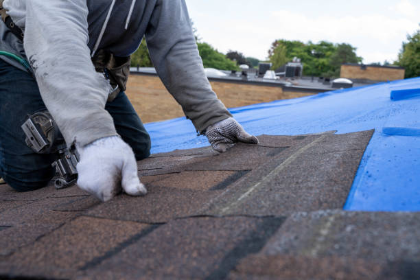 Best Gutter Installation and Roofing  in Evans, CO