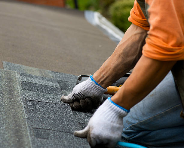 Best Storm Damage Roof Repair  in Evans, CO