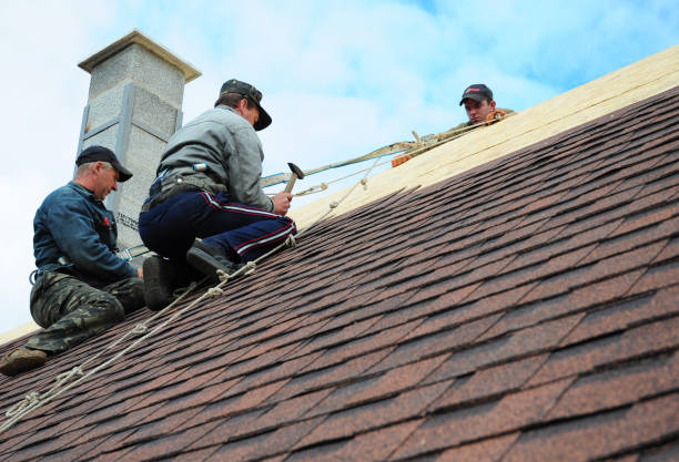 Best Residential Roofing Contractor  in Evans, CO